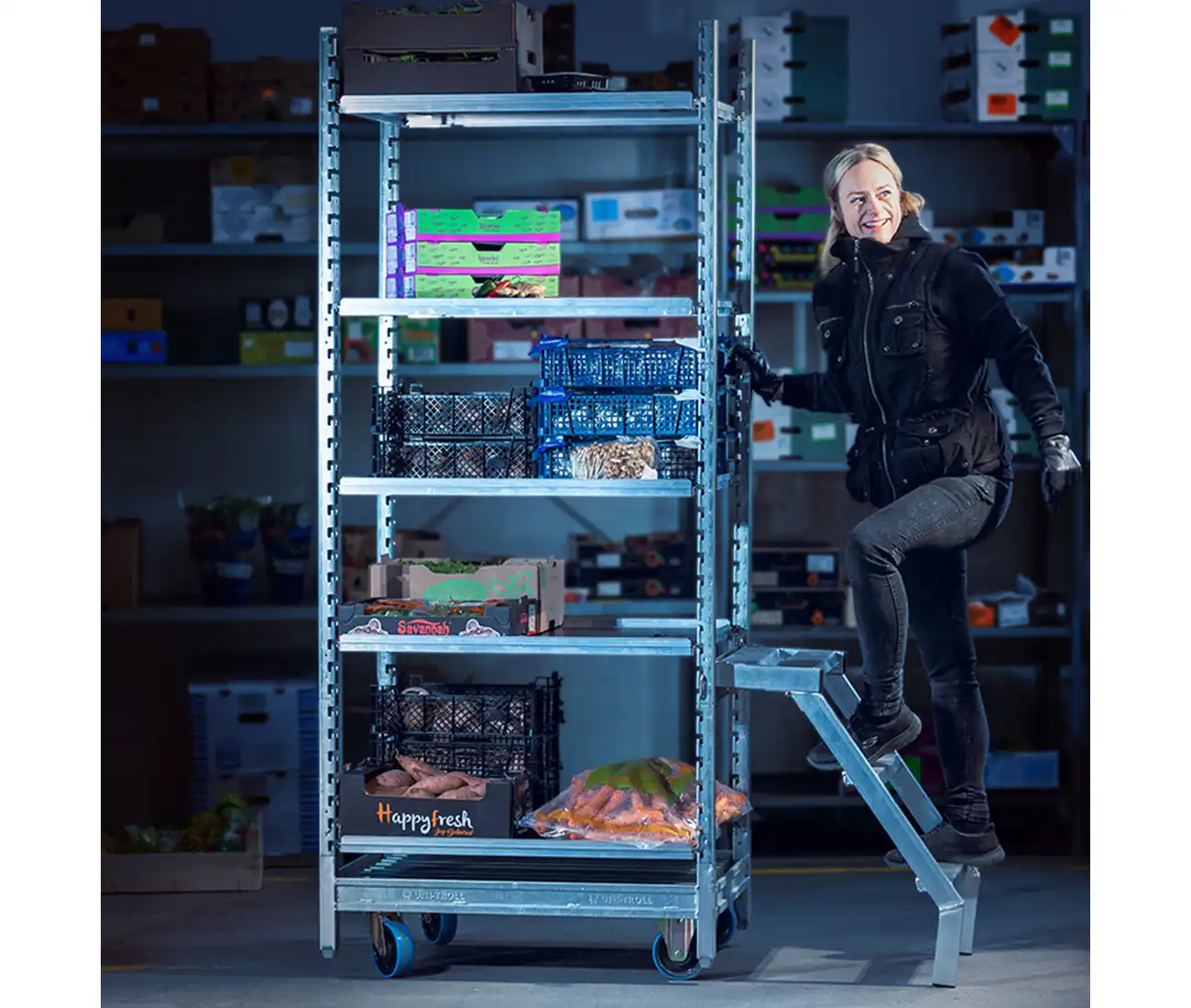 ut step ladder 1190800 web